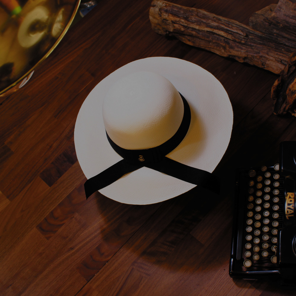 アウトラインが実に美しい