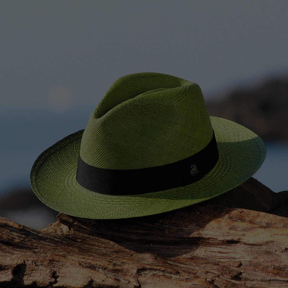 チョット冒険。でも落ち着きがグッとあるオリーブパナマ